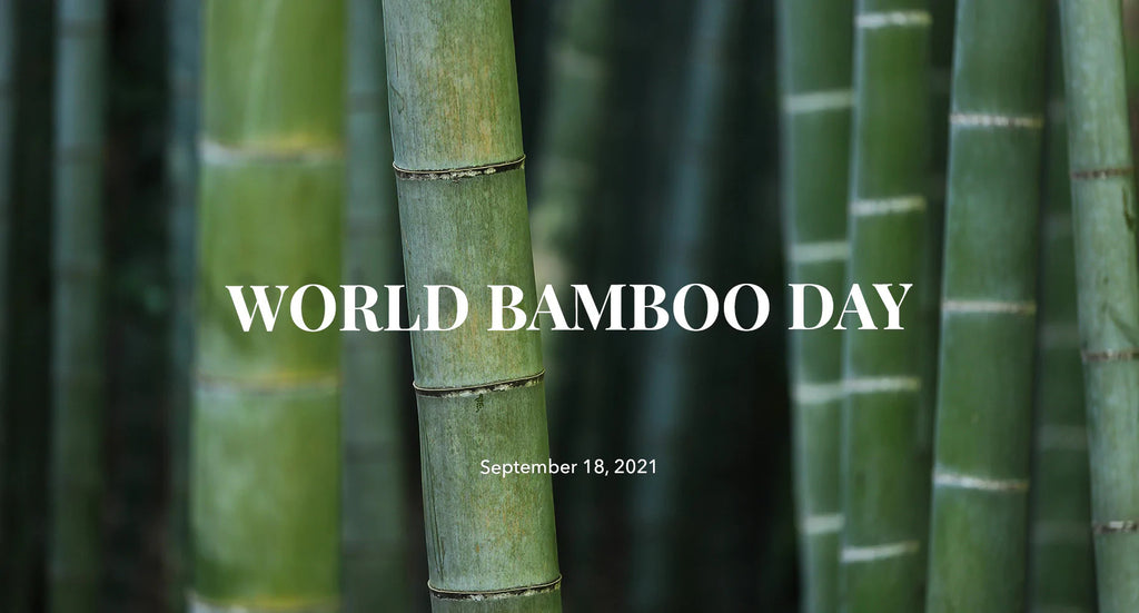 Why We’re Obsessed with Bamboo